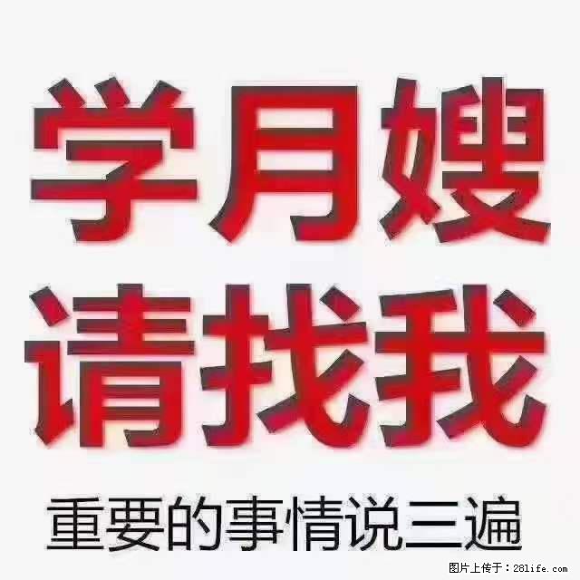 为什么要学习月嫂，育婴师？ - 其他广告 - 广告专区 - 汉中分类信息 - 汉中28生活网 hanzhong.28life.net