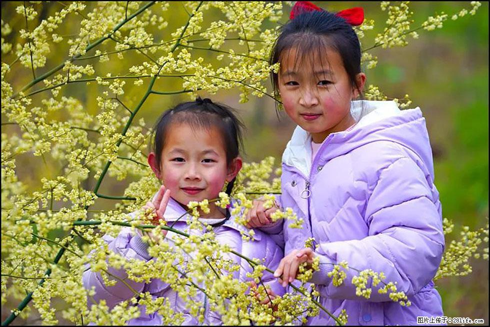 【春天，广西桂林灌阳县向您发出邀请！】米珠山前有片山苍子花在飘香 - 游山玩水 - 汉中生活社区 - 汉中28生活网 hanzhong.28life.net