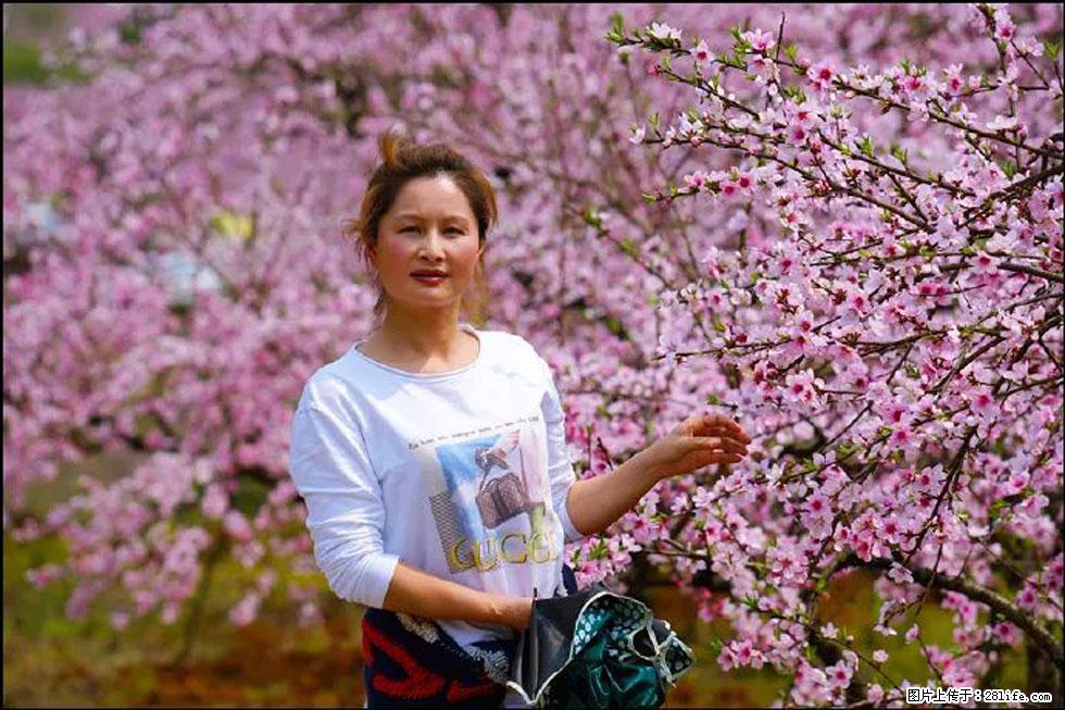 【春天，广西桂林灌阳县向您发出邀请！】官庄村有个醉美的桃花园 - 游山玩水 - 汉中生活社区 - 汉中28生活网 hanzhong.28life.net