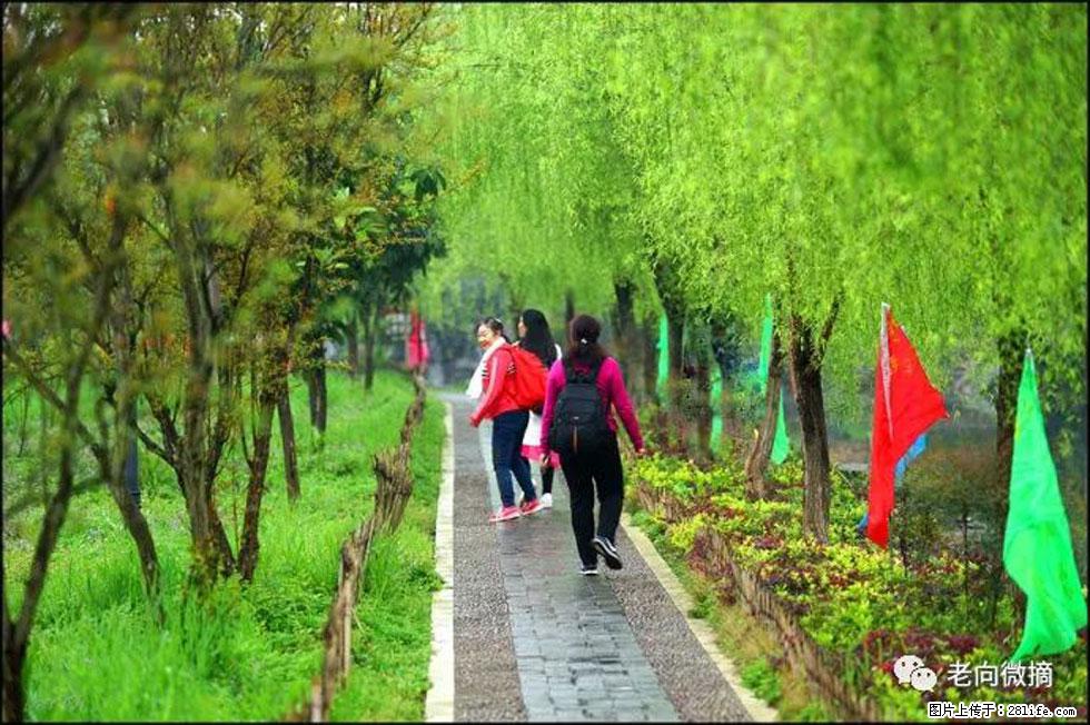 【春天，广西桂林灌阳县向您发出邀请！】江口老街又逢春 - 游山玩水 - 汉中生活社区 - 汉中28生活网 hanzhong.28life.net