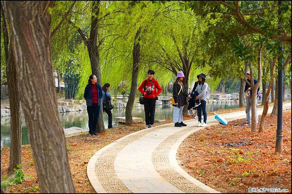 【春天，广西桂林灌阳县向您发出邀请！】江口老街又逢春 - 游山玩水 - 汉中生活社区 - 汉中28生活网 hanzhong.28life.net