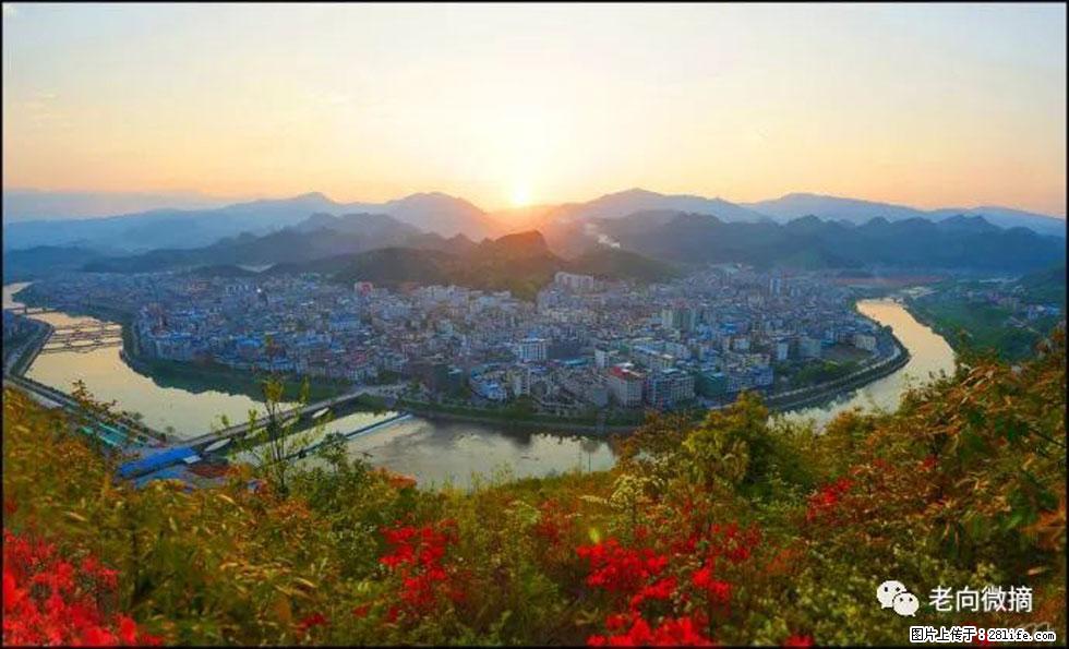【春天，广西桂林灌阳县向您发出邀请！】登麒麟山，相约映山红 - 游山玩水 - 汉中生活社区 - 汉中28生活网 hanzhong.28life.net