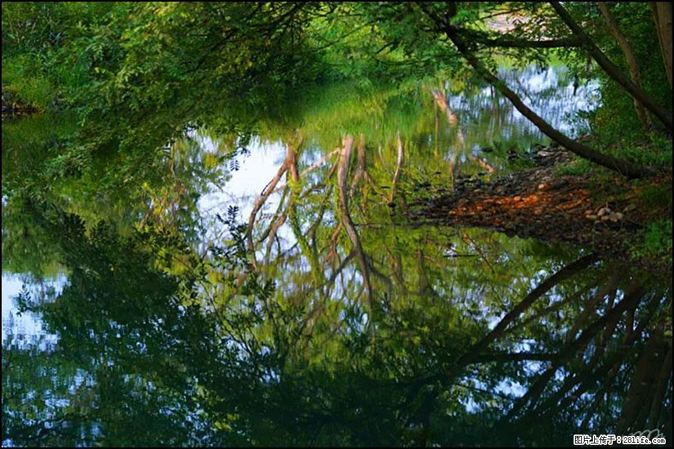 【春天，广西桂林灌阳县向您发出邀请！】熊家寨湿地公园 - 游山玩水 - 汉中生活社区 - 汉中28生活网 hanzhong.28life.net