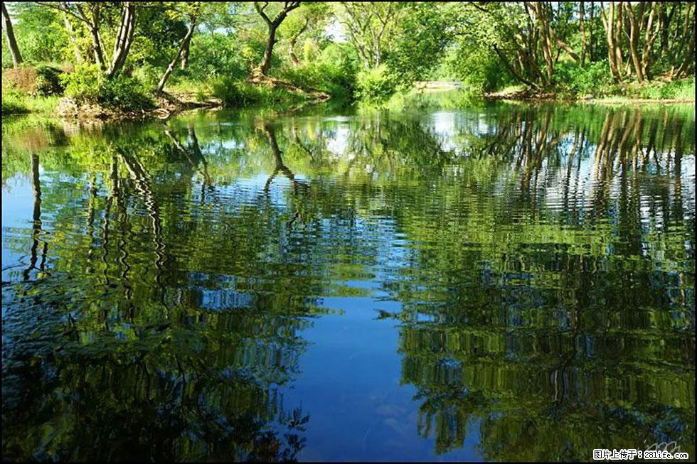 【春天，广西桂林灌阳县向您发出邀请！】熊家寨湿地公园 - 游山玩水 - 汉中生活社区 - 汉中28生活网 hanzhong.28life.net