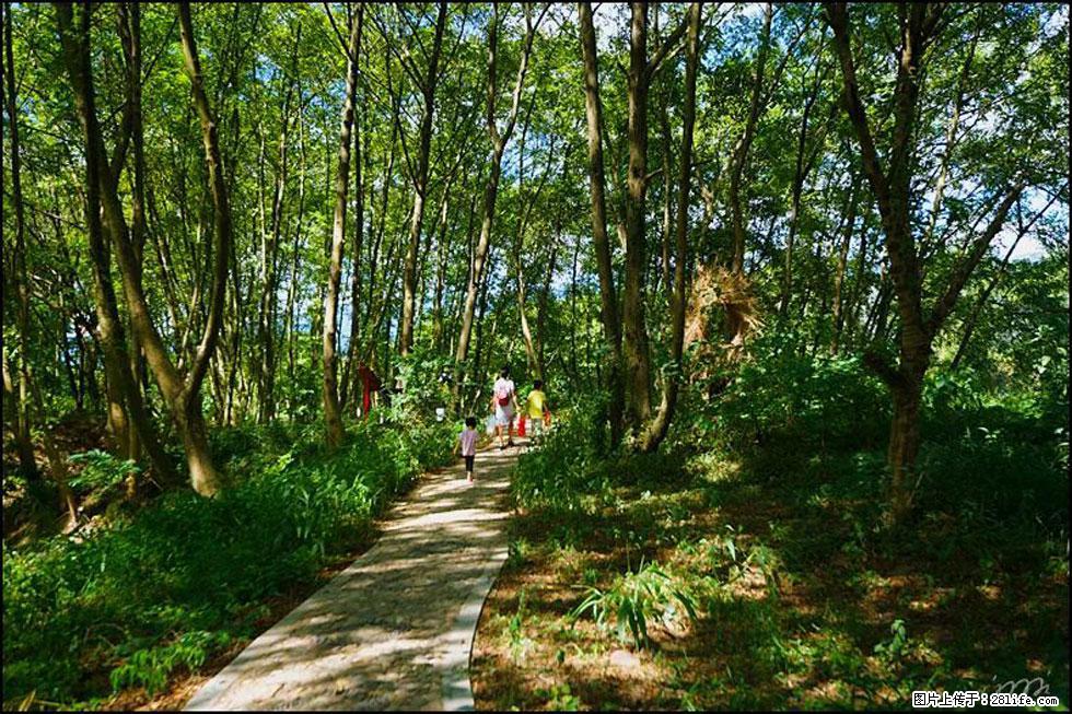 【春天，广西桂林灌阳县向您发出邀请！】熊家寨湿地公园 - 游山玩水 - 汉中生活社区 - 汉中28生活网 hanzhong.28life.net