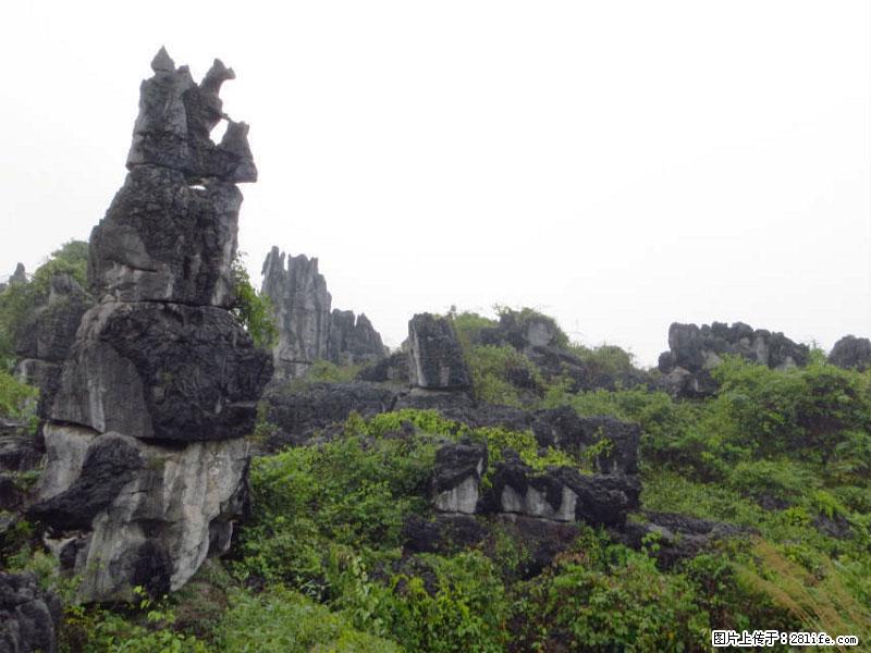 桂林旅游名城景点:灌阳文市石林 - 游山玩水 - 汉中生活社区 - 汉中28生活网 hanzhong.28life.net