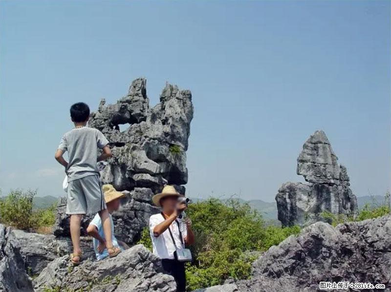 桂林旅游名城景点:灌阳文市石林 - 游山玩水 - 汉中生活社区 - 汉中28生活网 hanzhong.28life.net