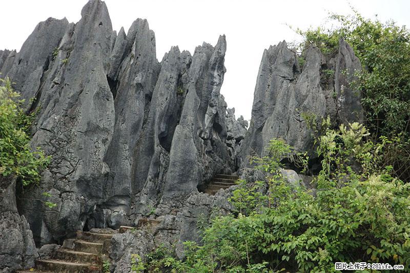 桂林旅游名城景点:灌阳文市石林 - 游山玩水 - 汉中生活社区 - 汉中28生活网 hanzhong.28life.net