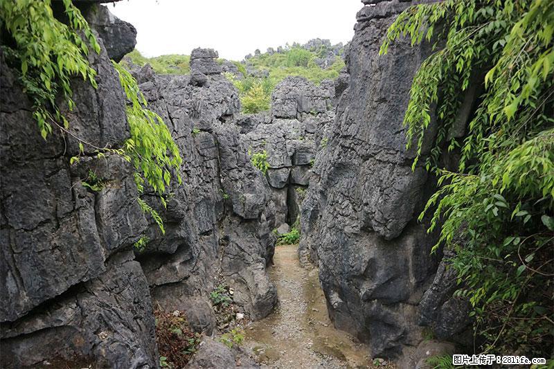 桂林旅游名城景点:灌阳文市石林 - 游山玩水 - 汉中生活社区 - 汉中28生活网 hanzhong.28life.net