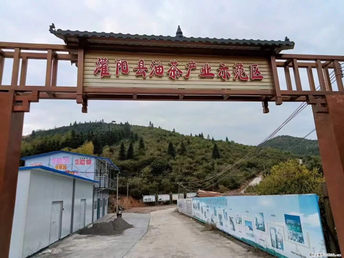 【灌阳县油茶产业示范区】一个有着充实的精神生活的人，对待身外之物自会有一种淡泊的态度 - 美食天地 - 汉中生活社区 - 汉中28生活网 hanzhong.28life.net