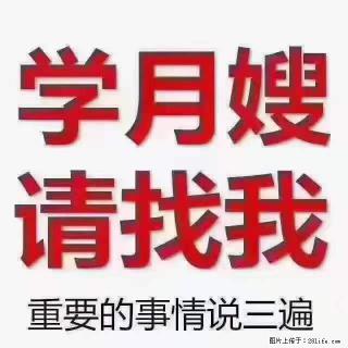 为什么要学习月嫂，育婴师？ - 汉中28生活网 hanzhong.28life.net
