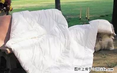 被子有异味？只要这样做，比晒太阳还强100倍！ - 家居生活 - 汉中生活社区 - 汉中28生活网 hanzhong.28life.net