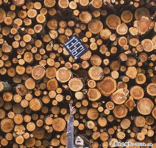 辞掉工作周游世界？现在他们在洗厕所…… - 游山玩水 - 汉中生活社区 - 汉中28生活网 hanzhong.28life.net