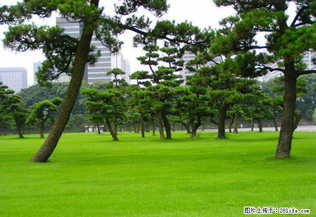 可短租前进路2室1厅1厨1卫精装修小区房75平米有家电家具拎 - 房屋出租 - 房屋租售 - 汉中分类信息 - 汉中28生活网 hanzhong.28life.net