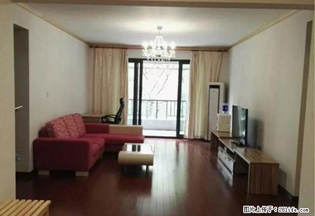 椰岛广场3室精装全家电带柴房，地理位置好，交通便利可随时看房 - 房屋出租 - 房屋租售 - 汉中分类信息 - 汉中28生活网 hanzhong.28life.net