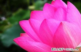 市中心精品月租房200一一1000拎包入住 - 汉中28生活网 hanzhong.28life.net