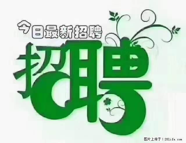 【招聘摄像师】待遇：试用期6000元/月，转正7000元/月+五险一金+餐补+节日福利+奖金 - 职场交流 - 汉中生活社区 - 汉中28生活网 hanzhong.28life.net