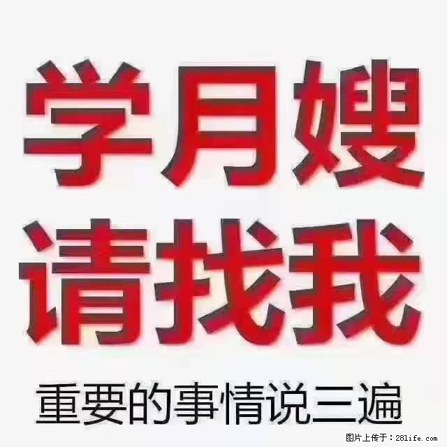 【招聘】月嫂，上海徐汇区 - 职场交流 - 汉中生活社区 - 汉中28生活网 hanzhong.28life.net
