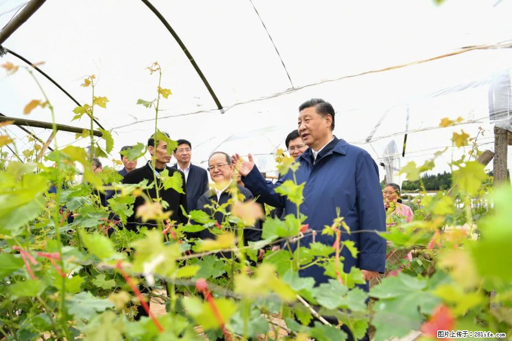 习近平赴广西考察调研 - 汉中生活资讯 - 汉中28生活网 hanzhong.28life.net