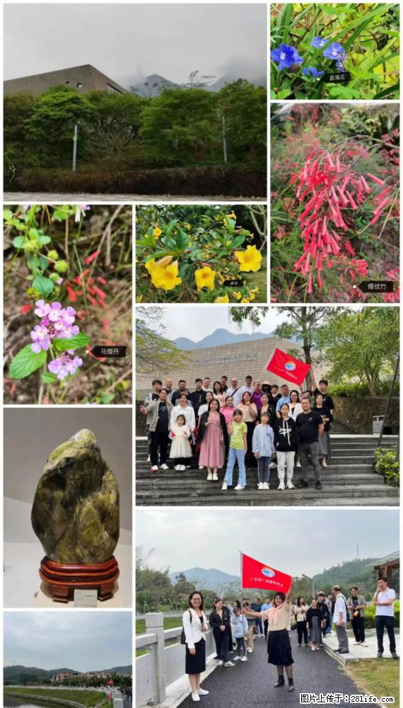 “粤灌文化 美好生活”油茶文化主题活动在广东深圳成功举办 - 汉中生活资讯 - 汉中28生活网 hanzhong.28life.net