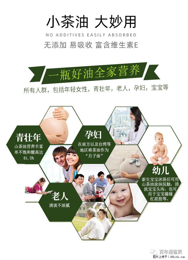 世界没有真相，只有认知，最好的食用油是中国的山茶油！ - 汉中生活资讯 - 汉中28生活网 hanzhong.28life.net