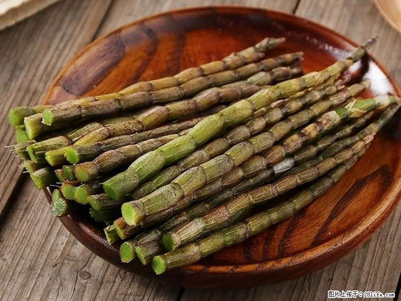 铁皮石斛的作用与功能主治 - 汉中生活资讯 - 汉中28生活网 hanzhong.28life.net